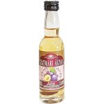 Szatmári Ágyas Szilva pálinka 38% 0.04l