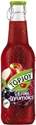 TopJoy Erdei gyümölcs 25% 0,25l üveg  24/#