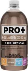PRO+ Kollagén + Hialuronsav - Málna  0,75l  6/#